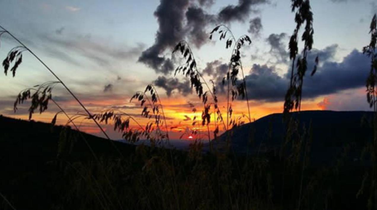 In Sicilia Da Ciro Bed & Breakfast Vita Dış mekan fotoğraf