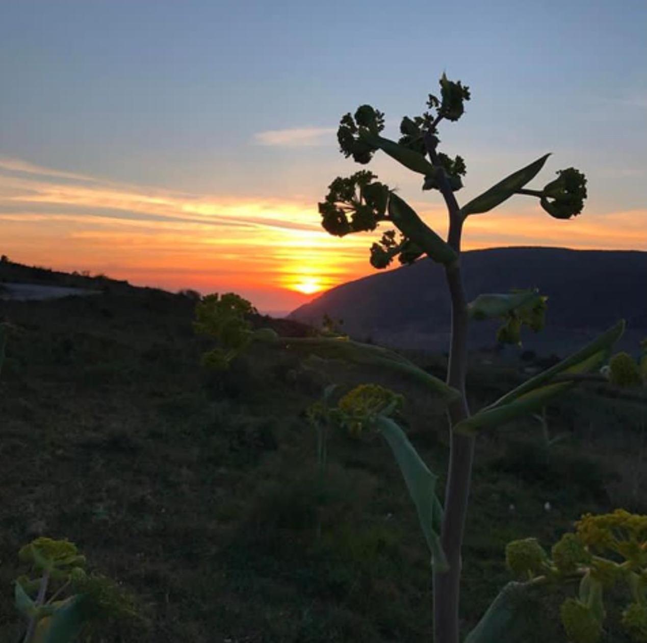 In Sicilia Da Ciro Bed & Breakfast Vita Dış mekan fotoğraf